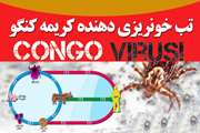 موردی از تب کریمه کنگو در استان زنجان گزارش نشده است 