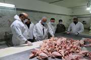 کشتار بیش از ۷.۷ میلیون قطعه طیور در زنجان تحت نظارت دامپزشکی؛ تولید ۱۵.۰۶ هزار تُن گوشت سالم