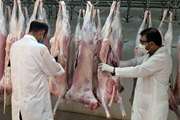 ۵۰ هزار و ۴۸۵ کیلو لاشه غیرقابل مصرف از کشتارگاه‌های زنجان ضبط شد