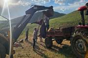 صیانت دامپزشکی زنجان از ۲۷ رأس دام در حادثه مسمومیت روستای تهم   
