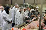 مردم نگرانی از بابت کمبود کالاهای اساسی نداشته باشند
