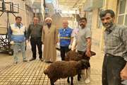 معدوم‌سازی ۵ کیلوگرم آلایش غیرقابل مصرف در روز عید سعید قربان در ابهر
