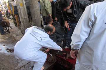 نظارت شرعی بر ذبح دام های قربانی حسینیه اعظم زنجان