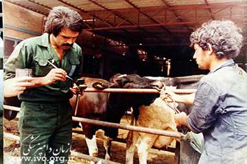 عکس قدیمی دامپزشکی