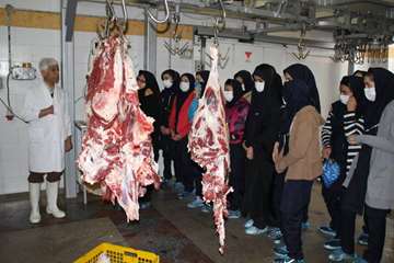 بازدید دانش آموزان از مراکز قطعه بندی و آشنایی با نظارتهای بهداشتی دامپزشکی به مناسبت هفته مشاغل