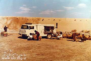 عکس قدیمی دامپزشکی