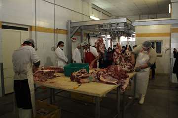 بازدید دانش آموزان از مراکز قطعه بندی و آشنایی با نظارتهای بهداشتی دامپزشکی به مناسبت هفته مشاغل