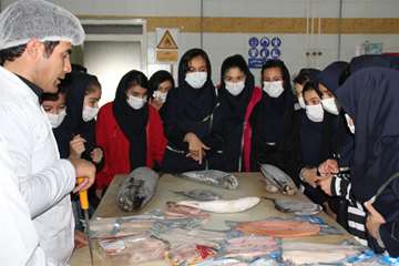بازدید دانش آموزان از مراکز قطعه بندی و آشنایی با نظارتهای بهداشتی دامپزشکی به مناسبت هفته مشاغل