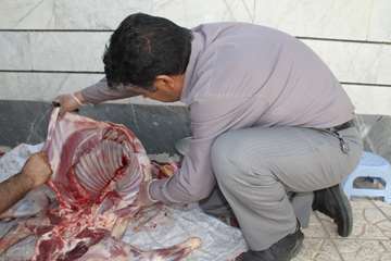 نظارت های شرعی و بهداشتی عید سعید قربان