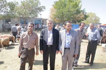 بازدید مدیرکل دامپزشکی استان زنجان