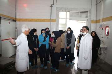 بازدید دانش آموزان از مراکز قطعه بندی و آشنایی با نظارتهای بهداشتی دامپزشکی به مناسبت هفته مشاغل