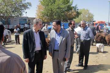 بازدید مدیرکل دامپزشکی استان زنجان