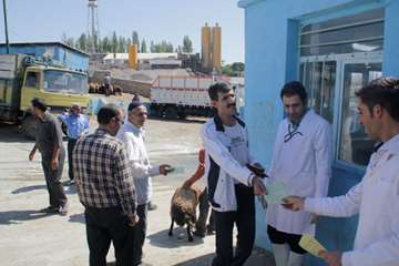 بازدید مدیرکل دامپزشکی استان زنجان