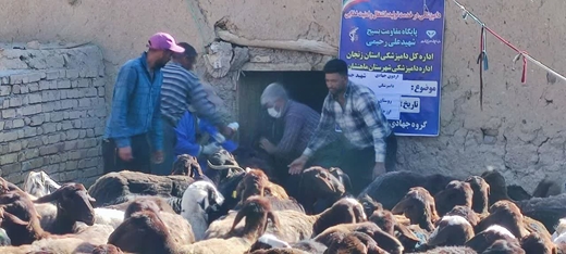 برگزاری اردوی جهادی دامپزشکی با عنوان شهید جمهور در شهرستان ماهنشان