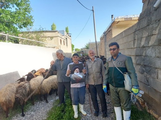 اردوی جهادی دامپزشکی با عنوان شهید جمهور در خدابنده برگزار شد