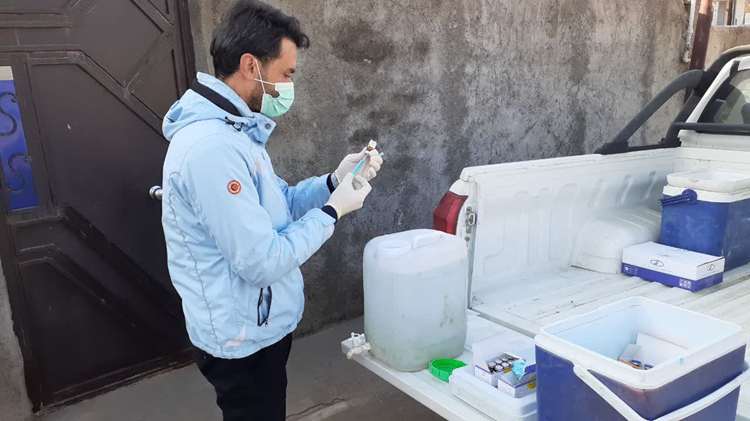 اجرای اردوی جهادی دامپزشکی در روستای لرده‌شور به مناسبت دهه مبارک فجر