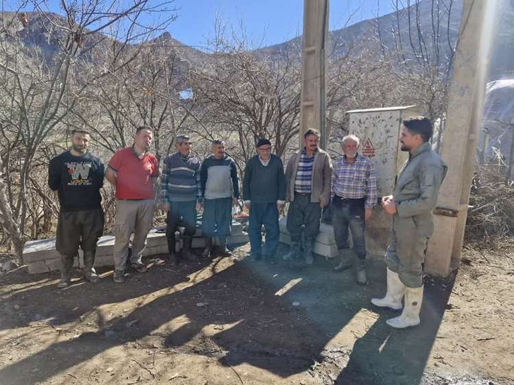  ایمن‌سازی نزدیک به ۱۹۰ هزار رأس دام در طارم طی ۶ ماهه نخست سال / سد دفاعی دامپزشکی در برابر خسارات بیماری‌های واگیر و مشترک