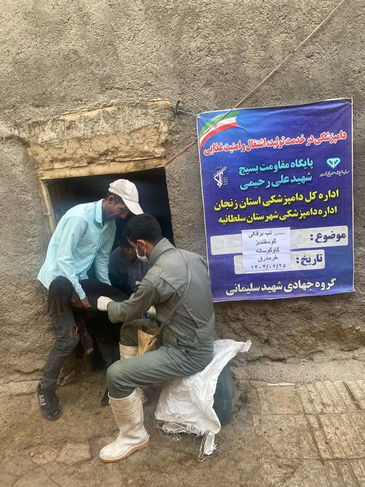 ارائه خدمات دامپزشکی در رزمایش جهادگران فاطمی ۵ توسط اداره دامپزشکی شهرستان سلطانیه