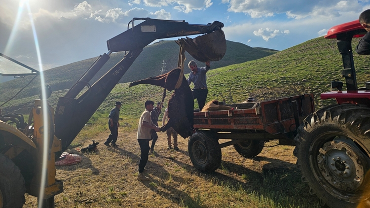 صیانت دامپزشکی زنجان از ۲۷ رأس دام در حادثه مسمومیت روستای تهم   